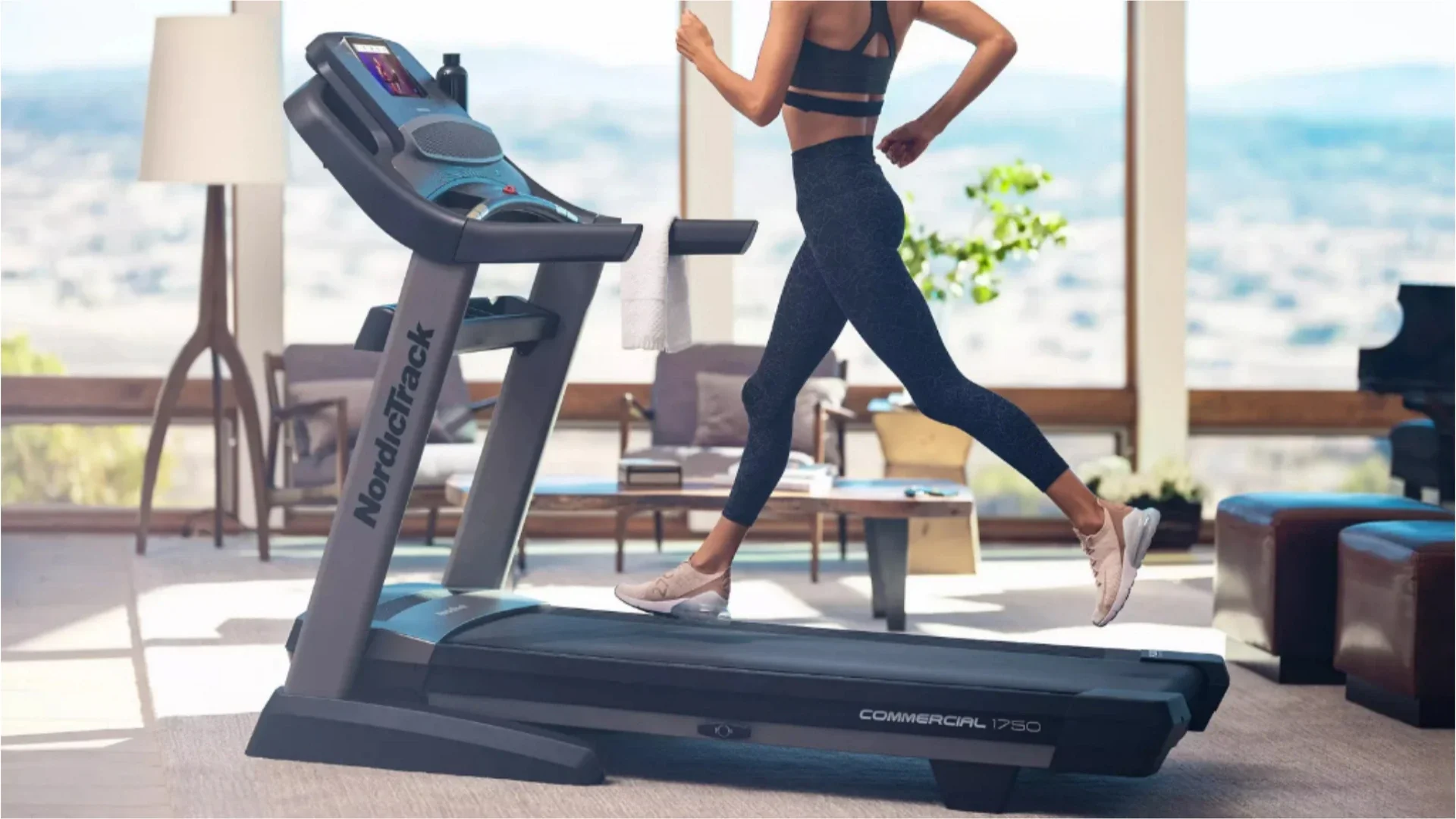 [RENT] Nordictrack 1750 with a built in, Kick Ass: [Personal Trainer]- WINTER OFFER - Image 3