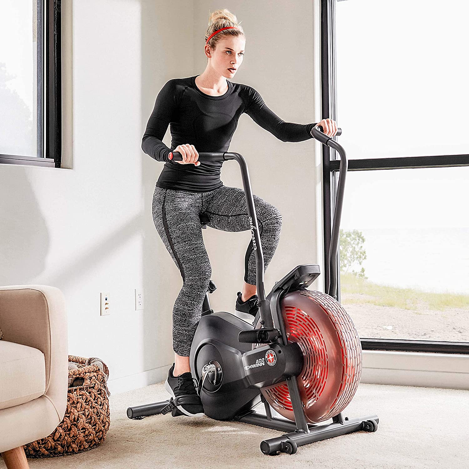 Schwinn Airdyne AD2 Bike - Image 5