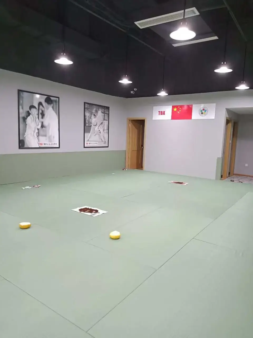 Wall Pads - Image 2