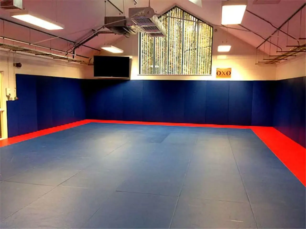 Wall Pads - Image 4